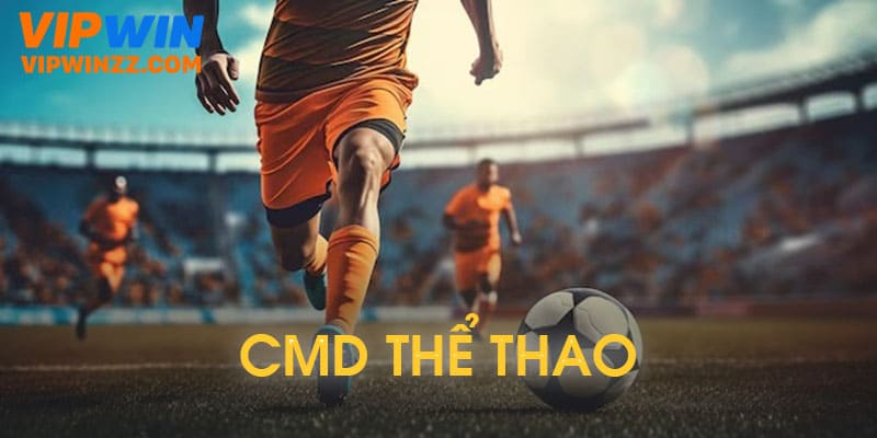Các sảnh cược khác tại thể thao Vipwin