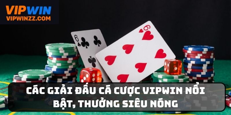Các giải đấu cá cược VIPWIN