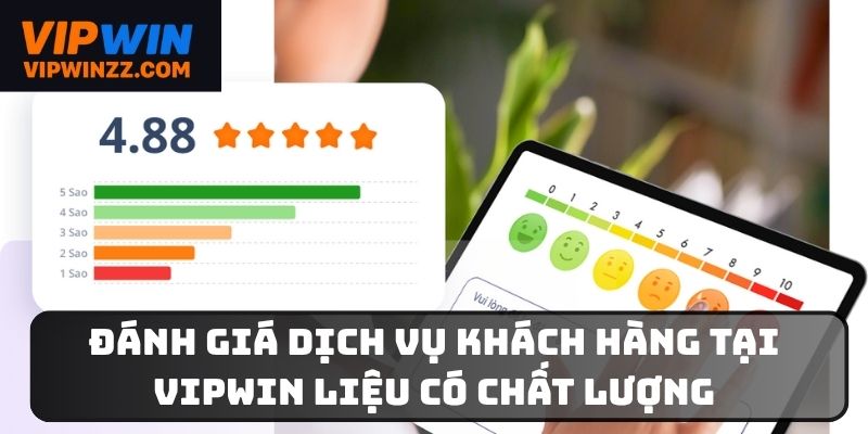 Đánh giá dịch vụ khách hàng tại Vipwin