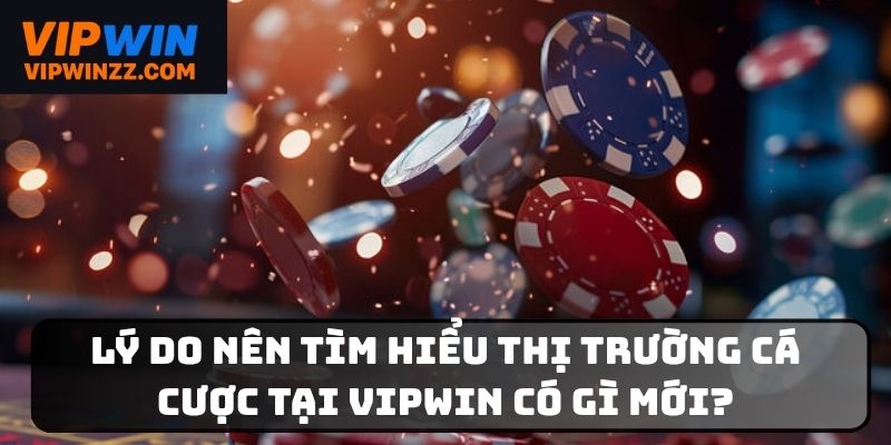 Những lý do nên theo dõi thị trường cá cược Vipwin
