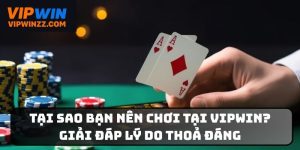 Tại sao bạn nên chơi tại Vipwin
