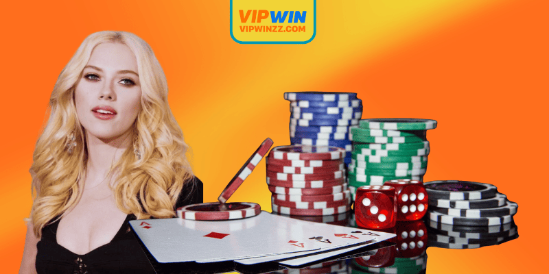 Khám phá tiểu sử nhà cái VIPwin