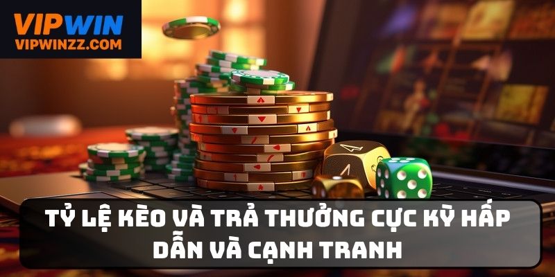 Đánh giá các tính năng có trên trang cược Vipwin